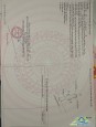 Thanh lý lô đất do kẹt tiền cá độ Euro Tân Thành, Bà Rịa Vũng Tàu