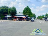  Bến Cát, Bình Dương 
